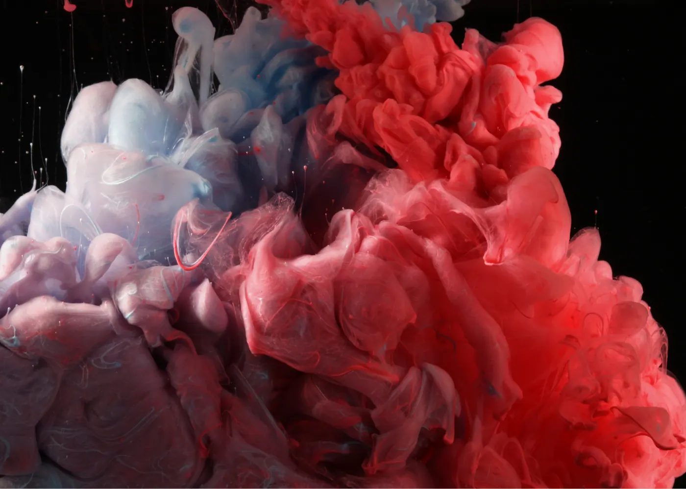 Pink red ink smoke on black background
